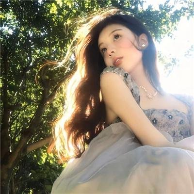 百鸟朝凤
